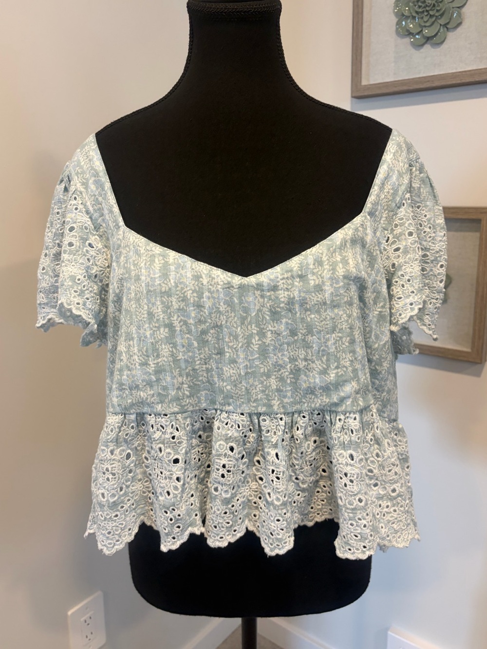 American Eagle Floral Embroidered Eyelet Ruffled Smocked Babydoll Crop Top NWT!